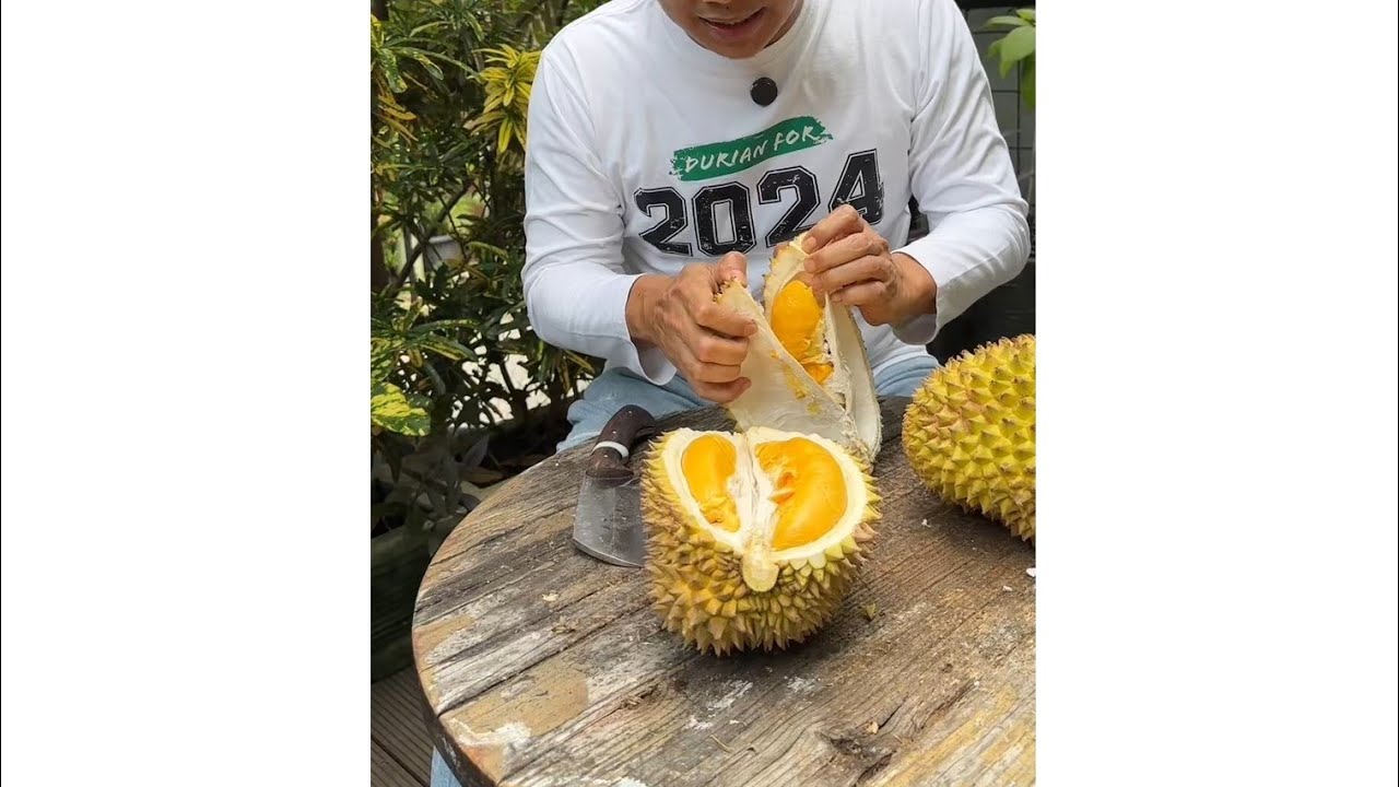 Buah Hutan MANTUALA Queen bukan durian buah unik rasa asik