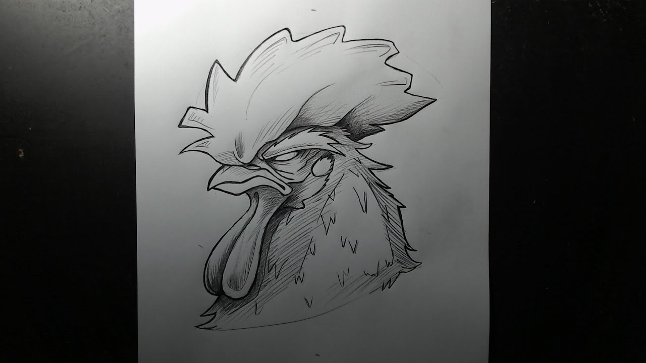 Como desenhar Galo passo a passo
