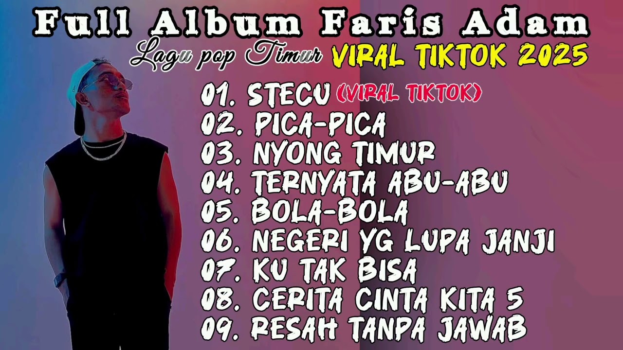 KUMPULAN LAGU POP TIMUR FARIS ADAM 2025 | STECU, PICA-PICA,NYONG TIMUR