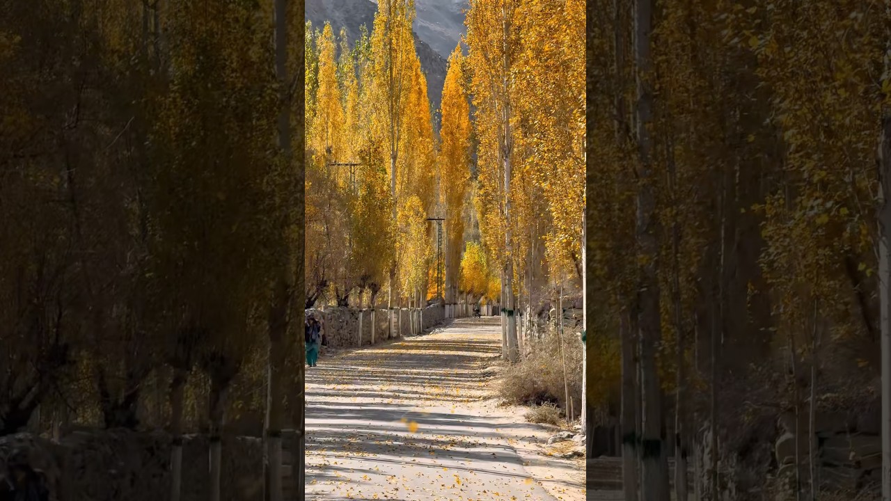 Autumn/Fall in the Mountains 