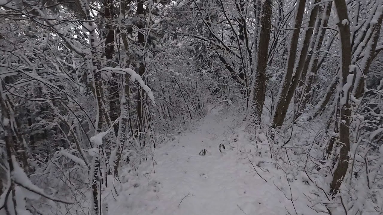 Vortex