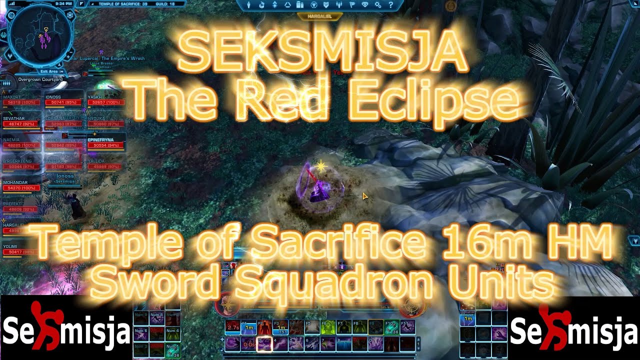 sword squadron 16hm SEKSMISJA