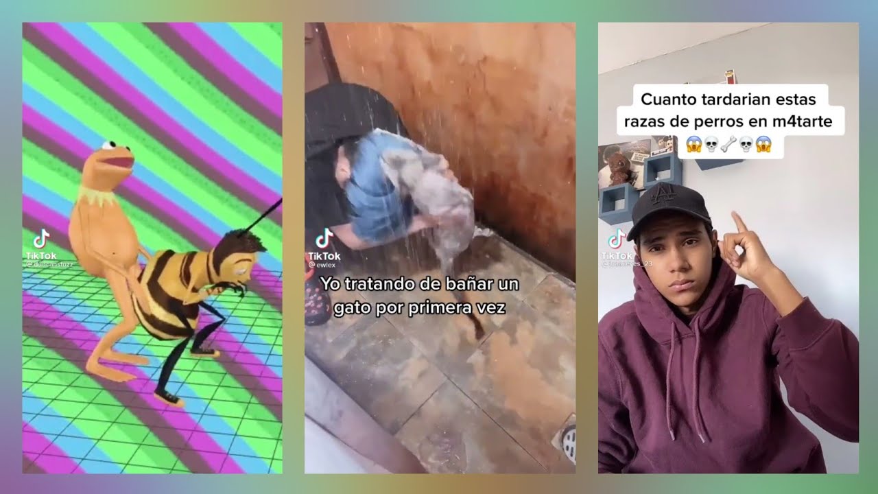 Tik Toks para perder el tiempo #9