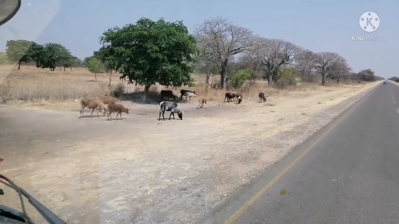 The Trip To Namibia Grootfonteine