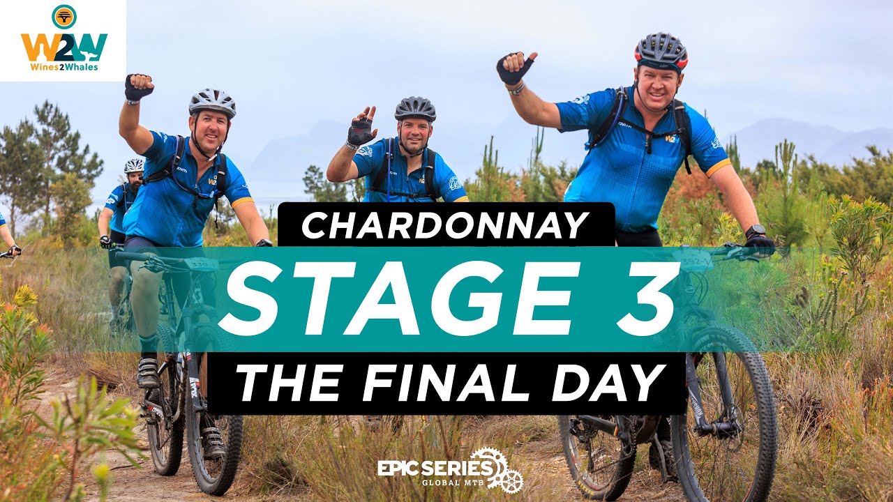 Stage 3 | The Final Day | Chardonnay | FNB Wines2Whales