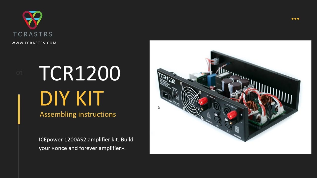 Icepower 1200AS2 class d DIY Kit assembling instructions