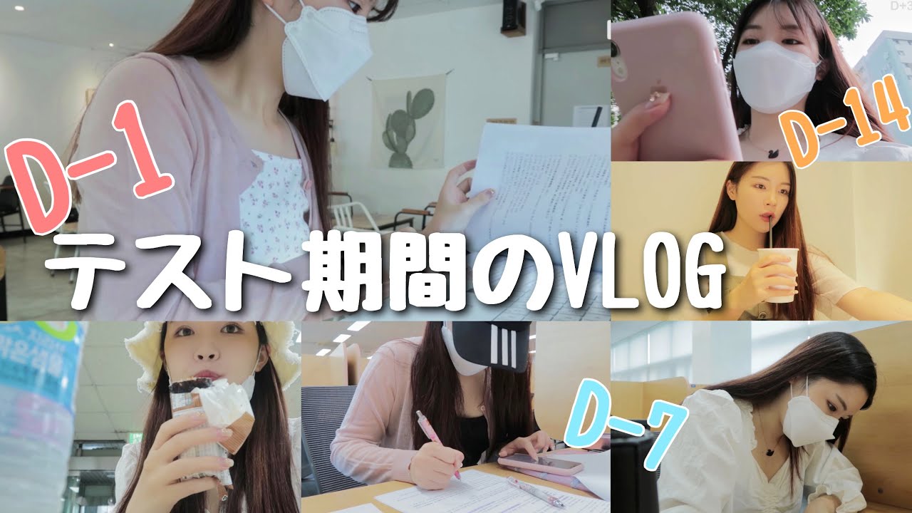 Vlog) 韓国の大学での期末テスト2週間前からテストが終わるまでに密着✏️🏫