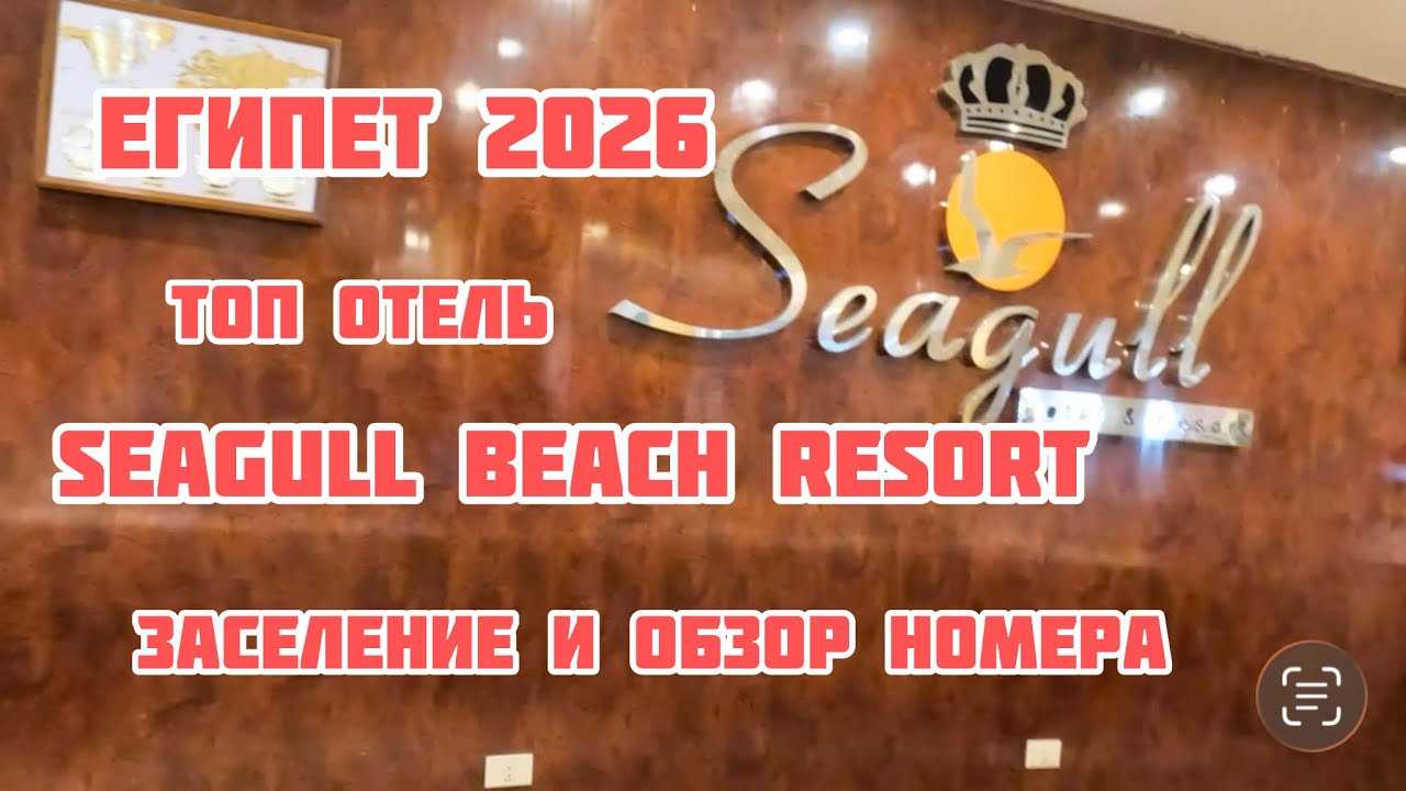 ЕГИПЕТ 2026 🇪🇬 |SEAGULL BEACH RESORT - Я БЫЛ УДИВЛЕН! | РАЗВОД ОТ ГИДОВ| ОБЗОР НОМЕРА| ХУРГАДА 2026