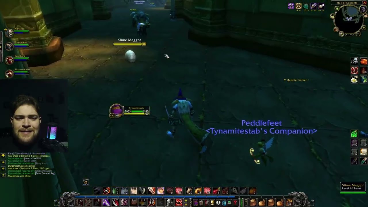 Classic WoW! Rogue Leveling! To become PVP monster! EP155! The Temple of Atal' Hakkar #new #wow