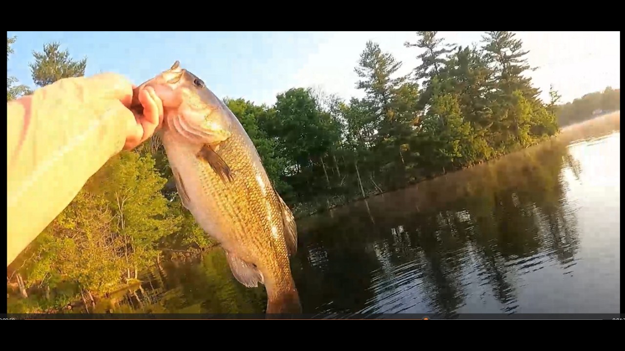 2025 Bass Opener On Sydenham Lake