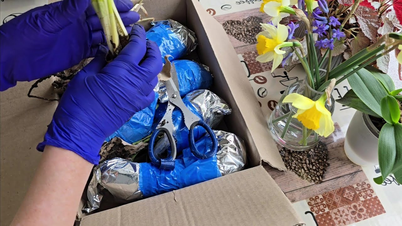Розпаковка 🎁Неочікувана посилка-сюрприз від підписниці. Вазони для ампельних квітів.