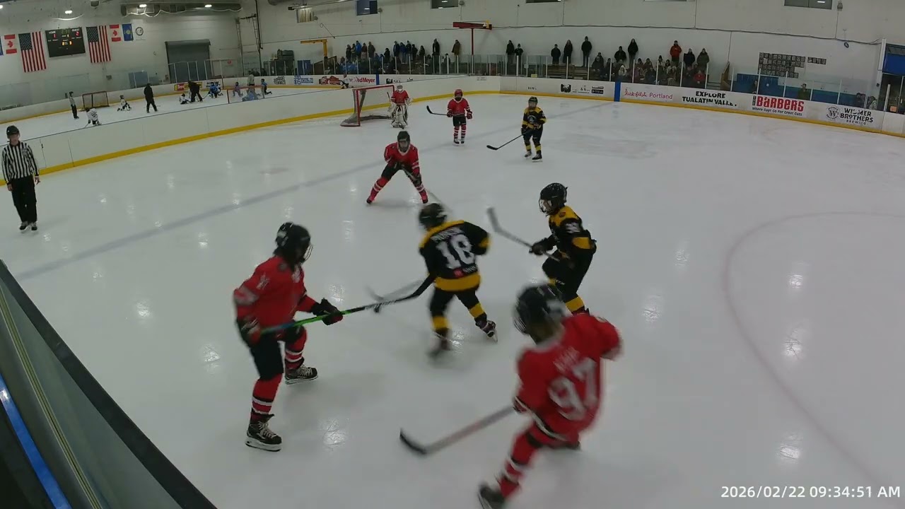 Hockey Game 22 February 2026 10U Eagles v Buckaroos