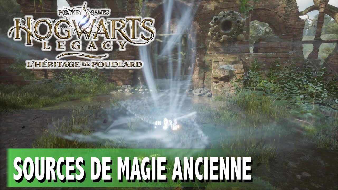 TOUTES LES SOURCES DE MAGIE ANCIENNE X1 - VALLÉE DE PRÉ-AU-LARD  - HOGWARTS LEGACY