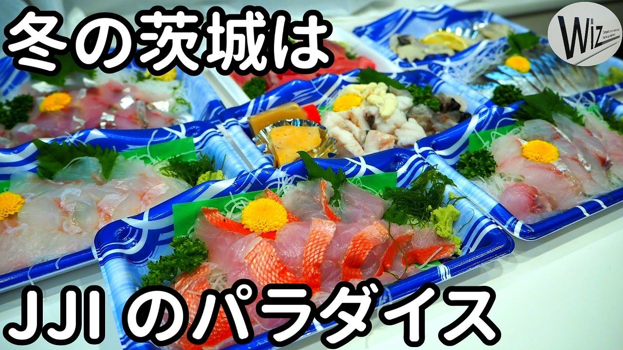 【車中泊旅】冬の茨城は JJI のパラダイスだった！ #道の駅ひたちおおた