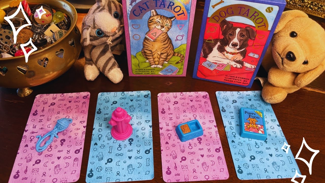 A fun and paw-sitive experience on its way 🐾 pick a card
