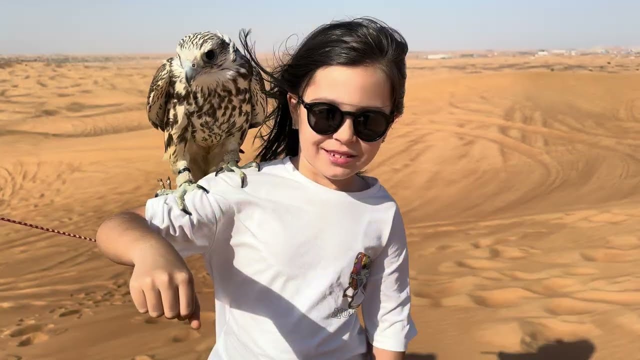 Dubai’da gezilecek yerler Dubai Mall ve safari tour