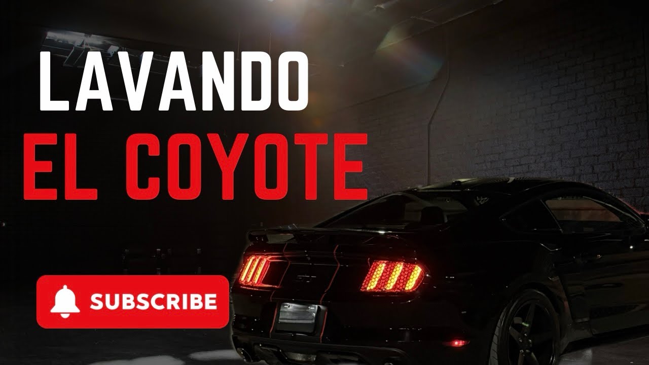 Detail Mustang 5.0