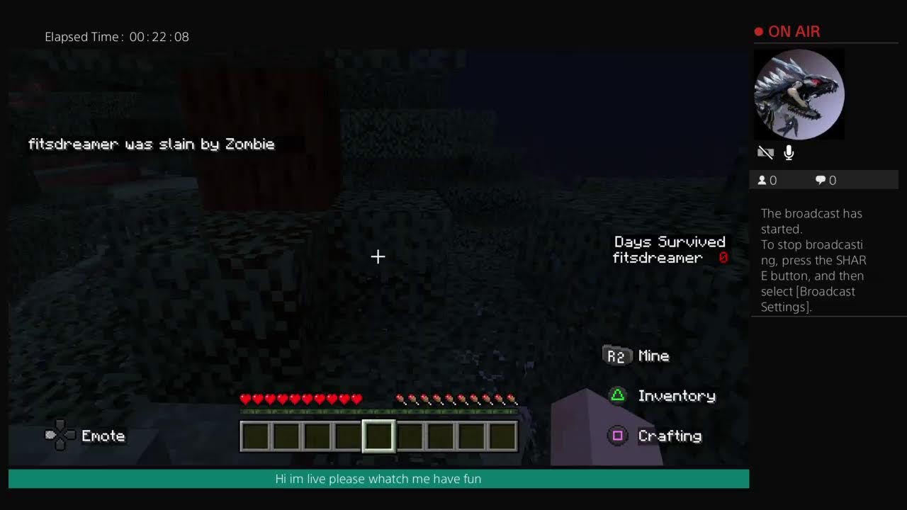 Minecraft part 9