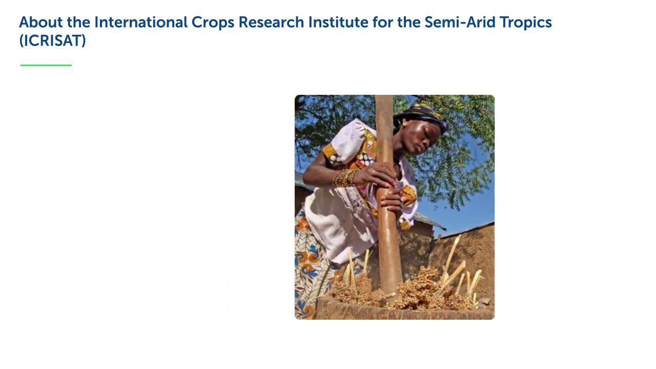 Water Scarcity and Food Security in Rain Fed Areas: Challenges and Opportunities – David Bergvinson