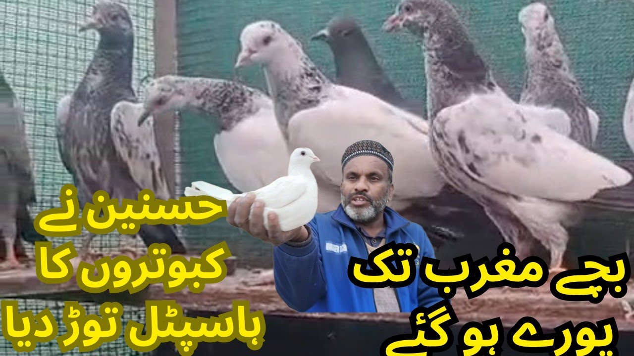 اج تو بچے مغرب تک پورے ہو گئے 