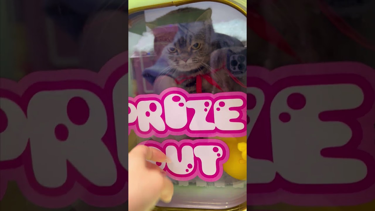 Pet Claw Machine - Day 9 #clawmachine #arcade