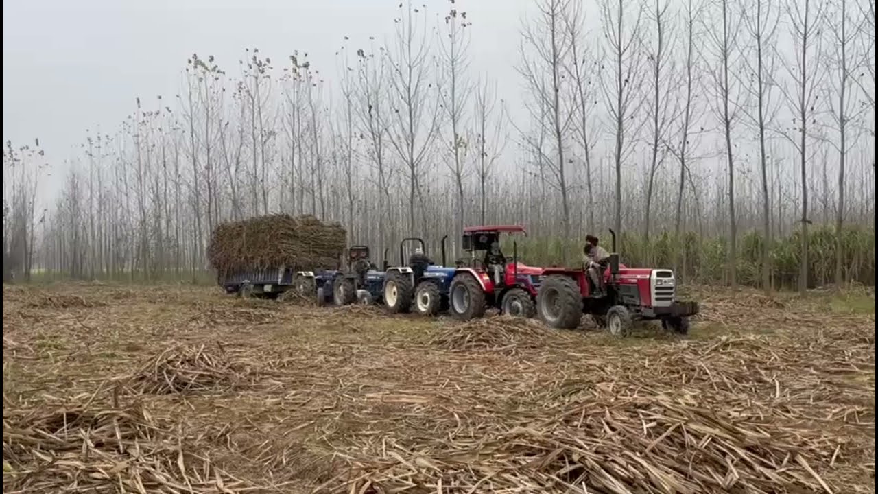 Kad leya Tralla// sugarcane farming//popular nursary @AMANMAHALVLOGS 