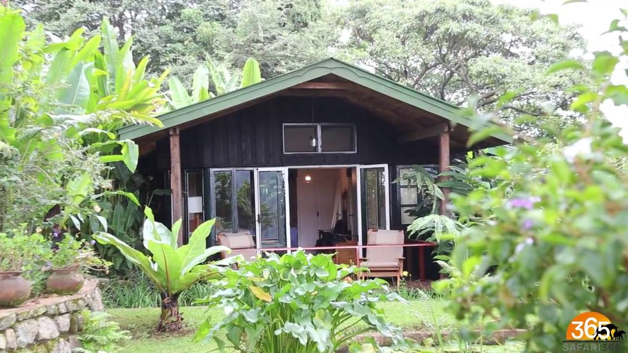 Gibbs Farm, Northern Tanzania | Safari365