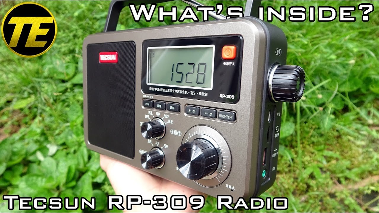 What's inside Tecsun RP-309 Radio