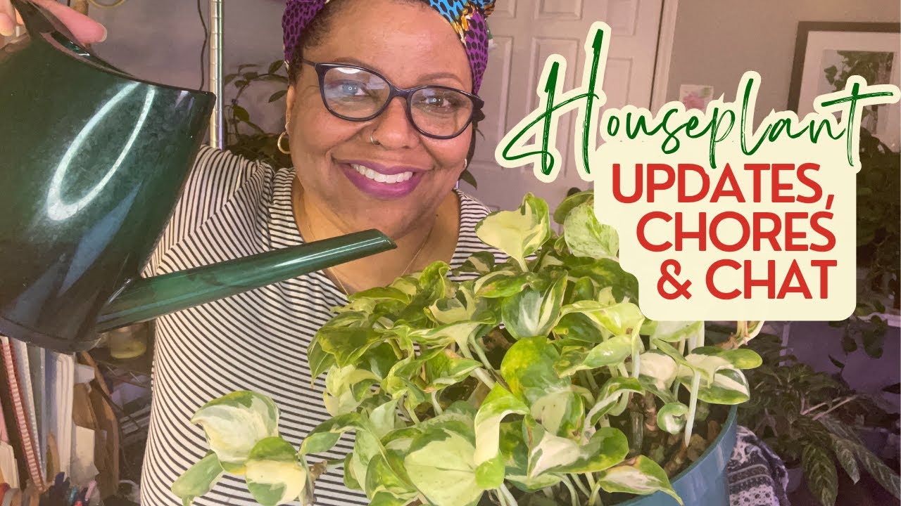 My Propagations are Growing So Fast!! Let's Do Houseplant Chores Together
