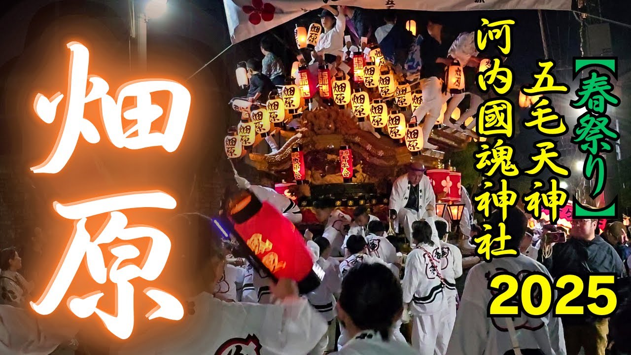 畑原だんじり 【河内國魂神社(五毛天神) 春祭り2025年】巡行/宮入  Hatahara Danjiri