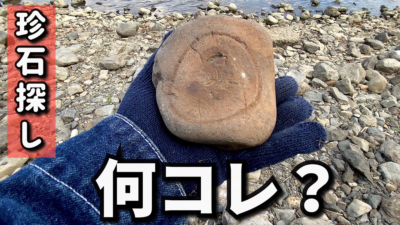 【探石・山川編】和歌山にしかないノジュール、瓜谷石（古谷石）を探してみよう！【珍石探し】