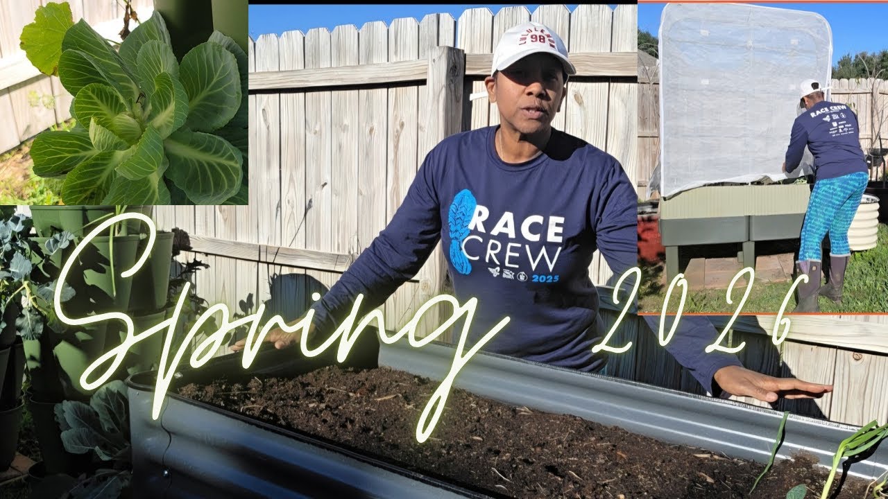 Huge Garden Transition: Emptying Beds and Moving to Container Gardening