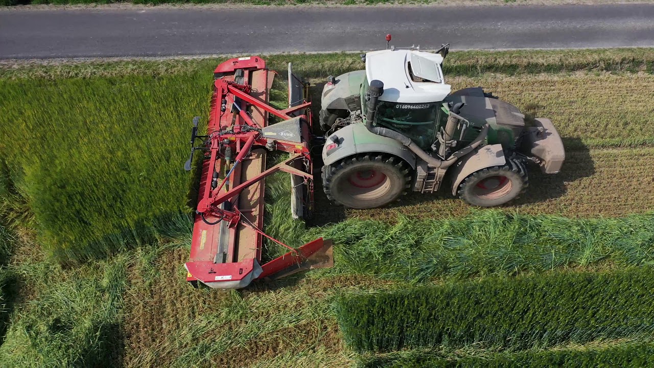 Ganzpflanzensilage mähen und direkt auf Schwad legen mit einem Kuhn Fc703Ra Bickert Agrar