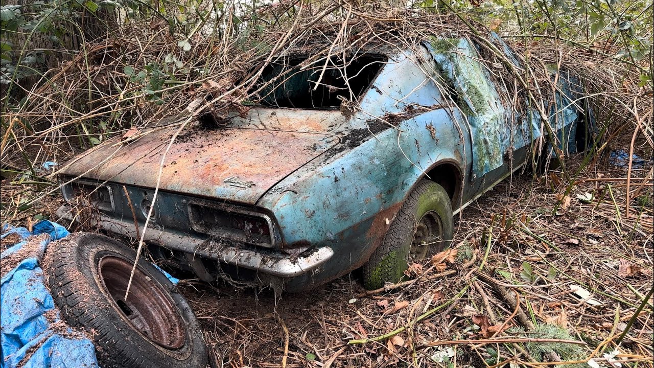 I got a FREE Camaro. There’s just one catch... #1967camaro #musclecar  #barnfind #camaro