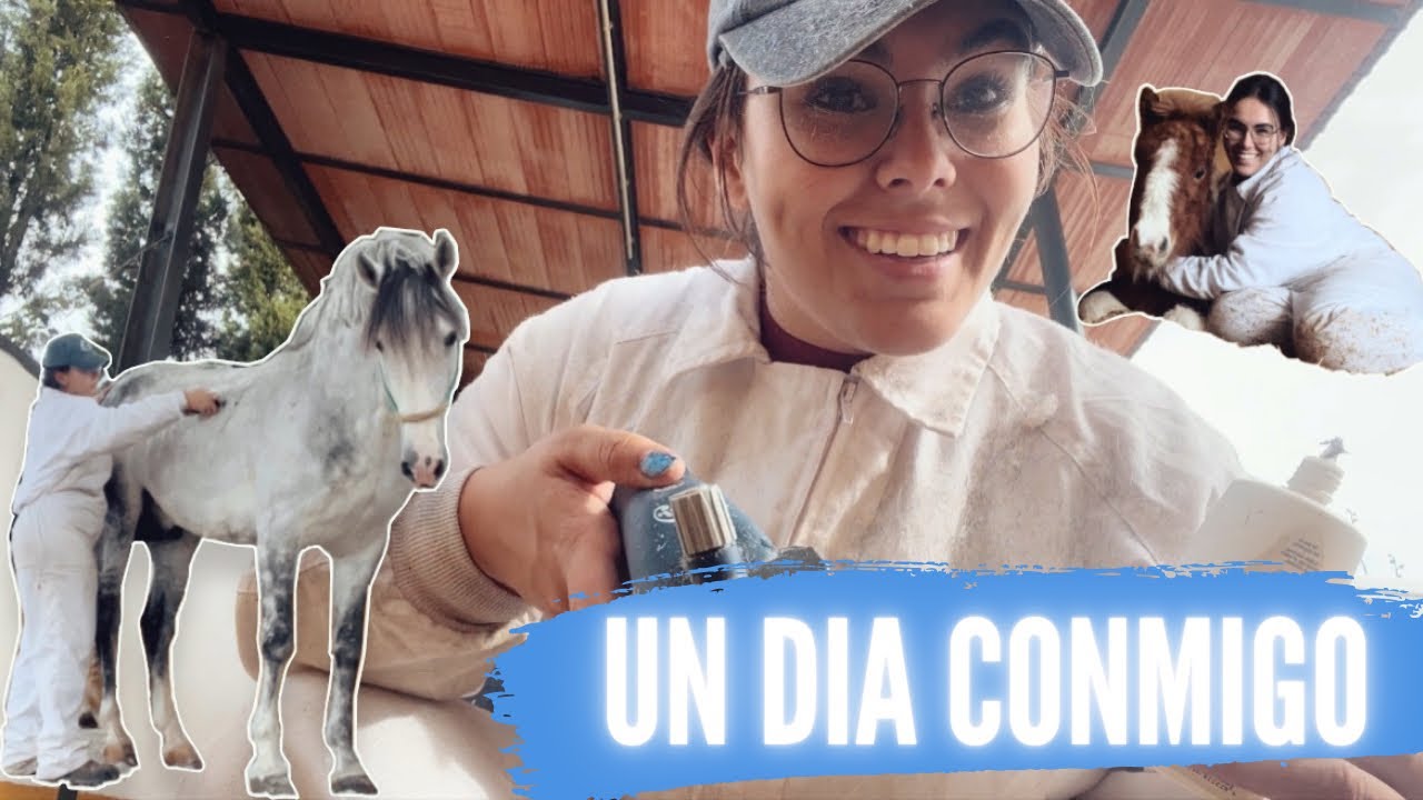 ✨Un día conmigo🐴✂️