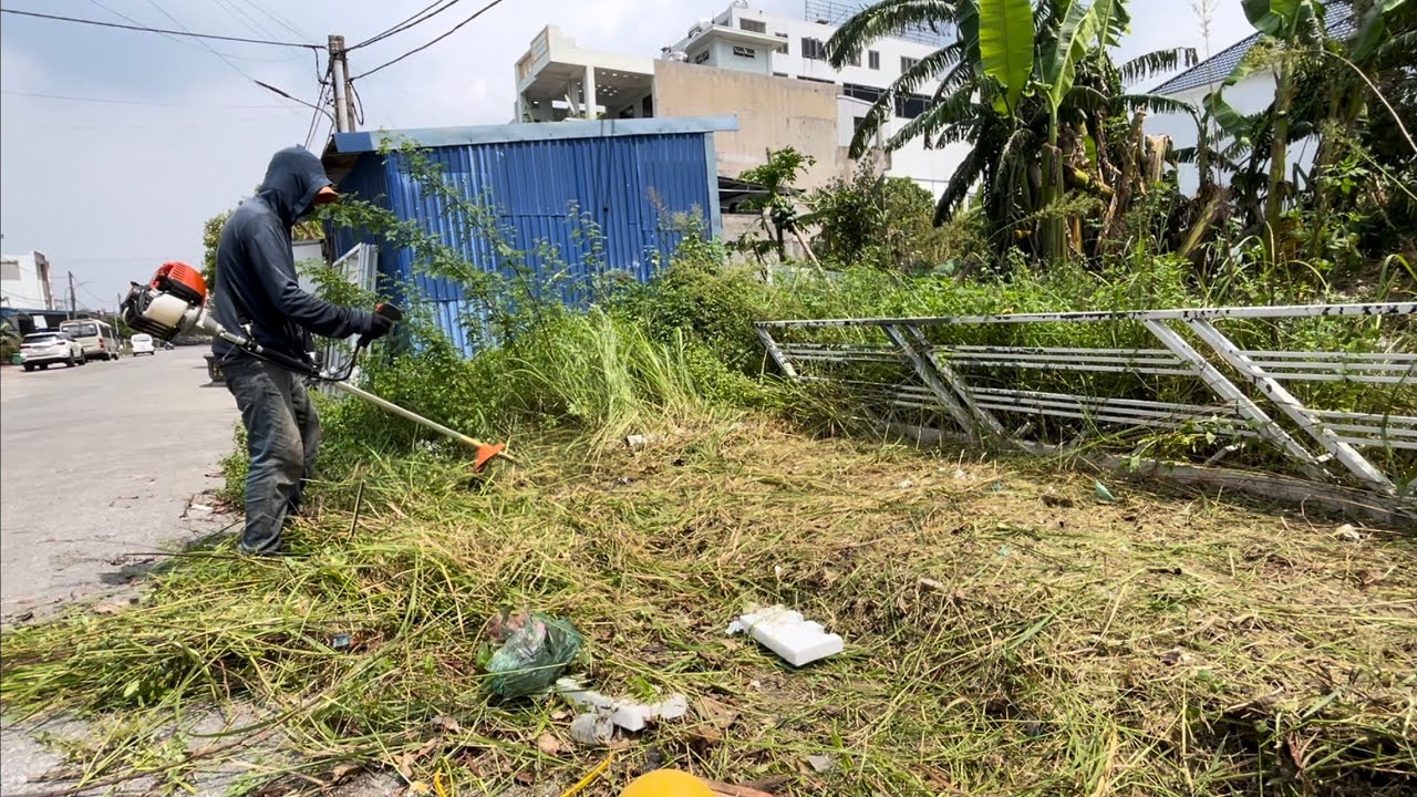 Residents outraged over overgrown sidewalks covering sewer holes - potential danger.
