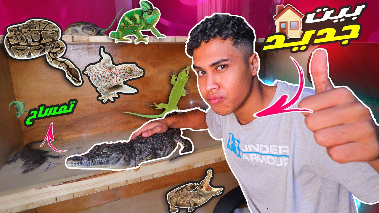 عملت أجمل بيت للحيوانات بتاعتي !!😍🐊