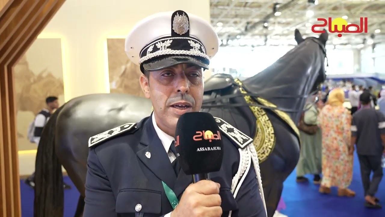 هكذا تجمع شرطة الخيالة بين حفظ الأمن ورعاية الخيول