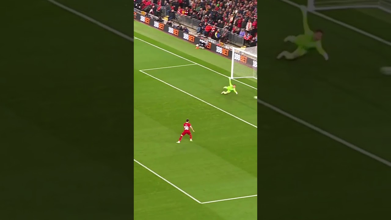 Cody’s strike started the comeback against Leicester in the CarabaoCup ⏪🎯Road to Wembley | Goal 1 ⚽️