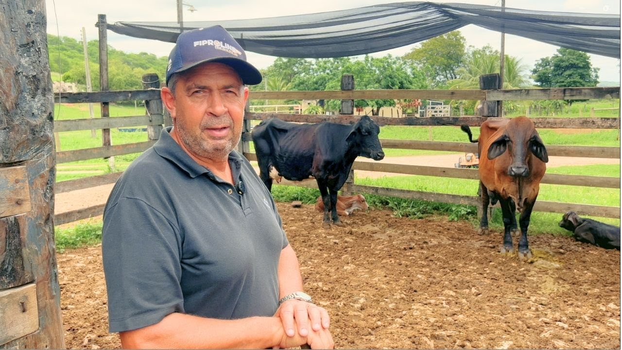 ELE ABANDONOU OS ESTUDOS PRA SER VAQUEIRO NA FAZENDA E VAI NOS CONTAR SE VALEU A PENA