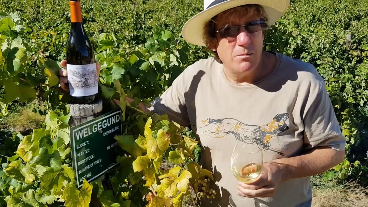 Painted Wolf Wines - Lycaon Old Vine Chenin Blanc