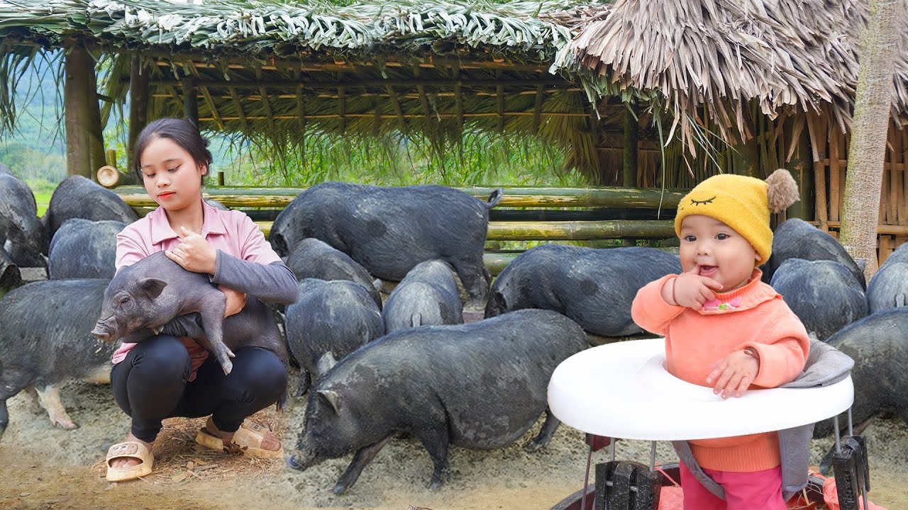 REWIND TIMELAPSE - 3 Years of Raising Pigs, Raising Ducks, Raising Chickens and Harvesting Sturgeon