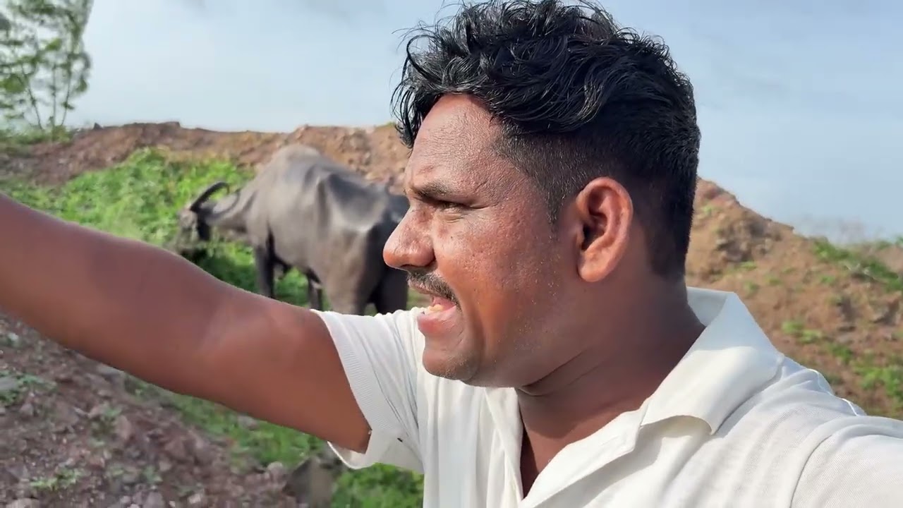 आबानं सगळी म्हशी पळवण्याचा प्रयत्न केला पण त्याला वाटत अडवला तीन लाख देतो तू दुसर घर😭#गावठीनिलेशपुनम