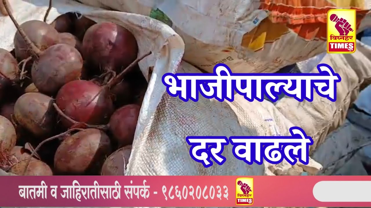 नारायणगावच्या तरकारी मार्केटमध्ये भाजीपाल्याचे दर भडकले  l 