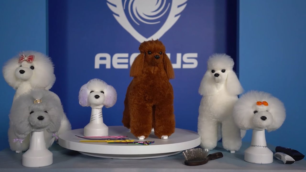 RMD Model Dog Practice Kits mannequins and Furs Informational Video