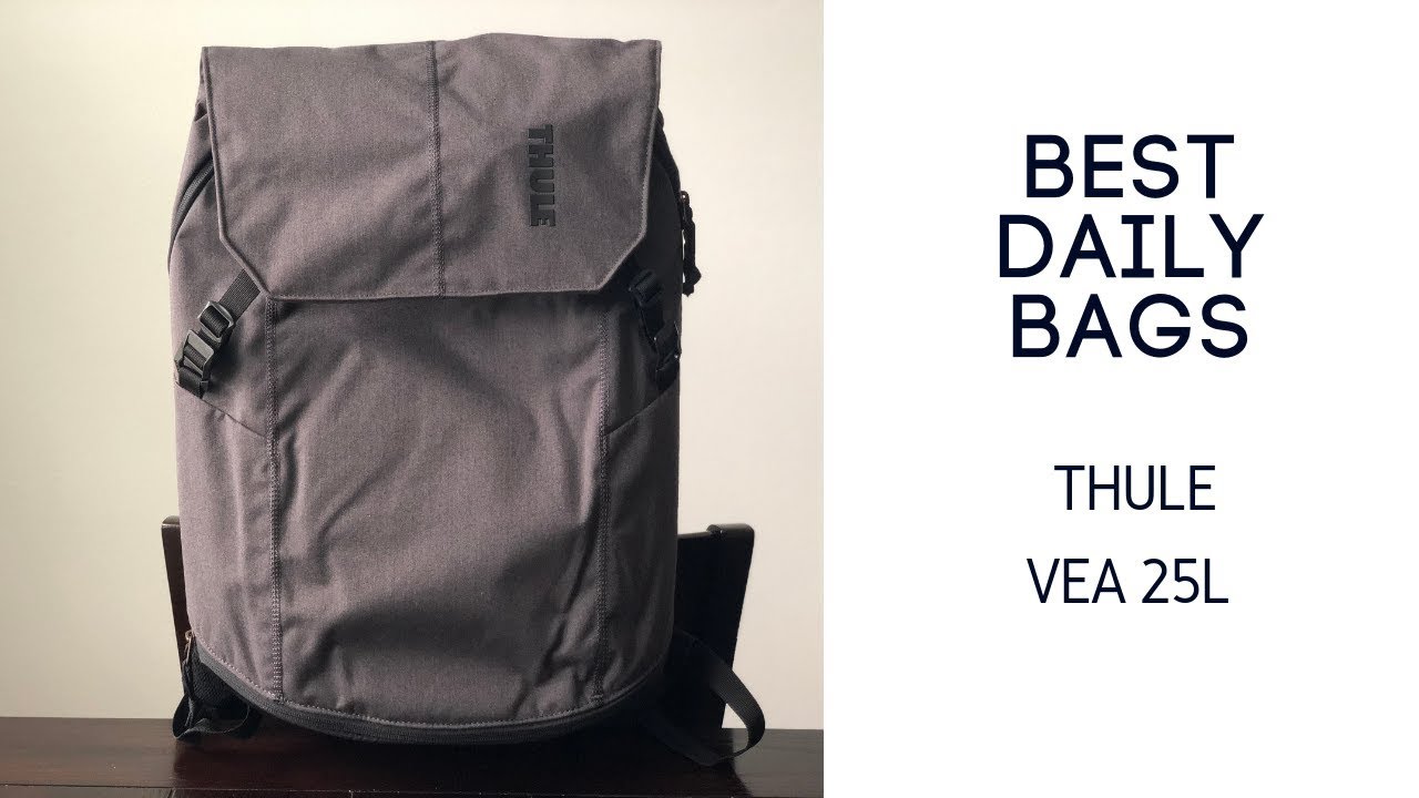 Best Daily / Gym Bags: Thule VEA Backpack 25L Backpack Review