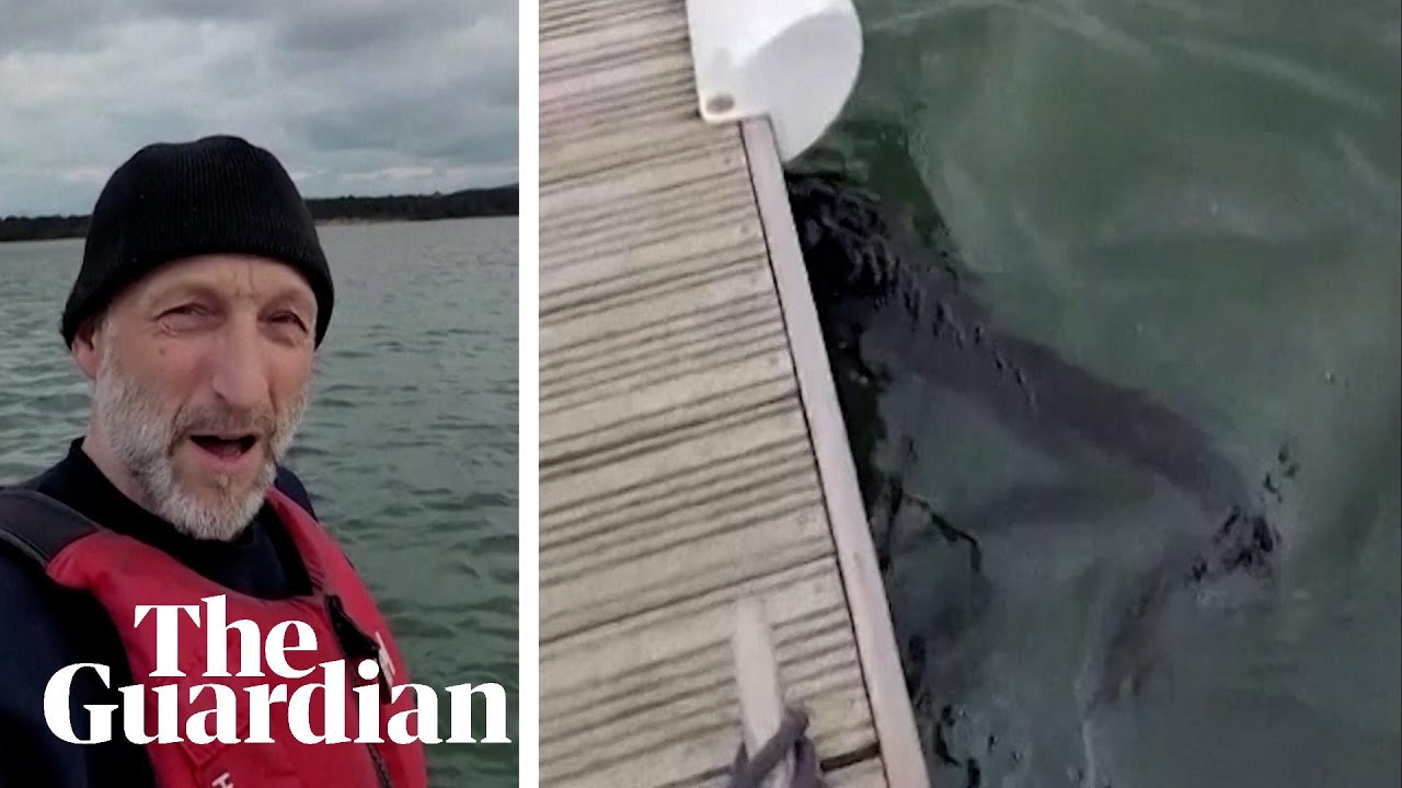 'Environmental disaster': sailor shows oily sludge polluting water in Poole harbour