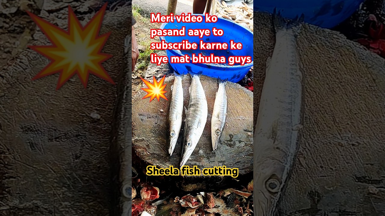 Sheela fish cutting ✂️Sheela fish cutting Tamil💥 Sheela meen cutting#viralvideoviralvideo