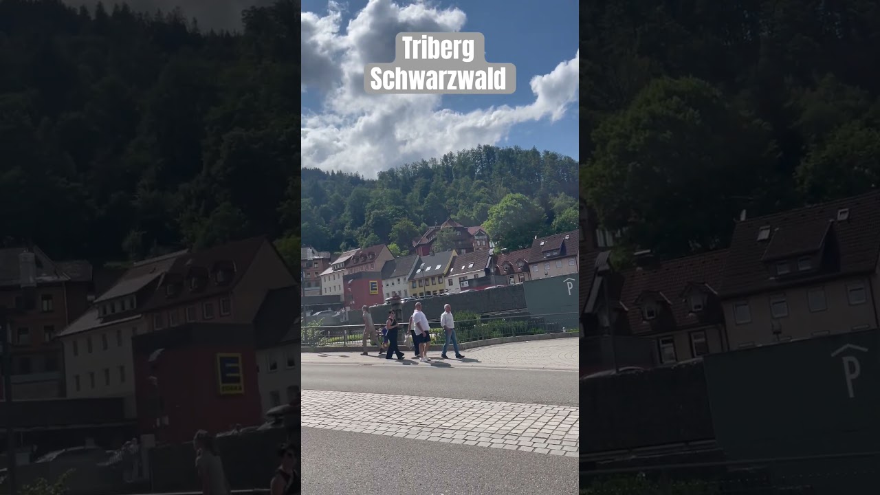 Triberg im Schwarzwald #schwarzwald #triberg #travel #nature #music #waterfall #youtubeshorts #aviat