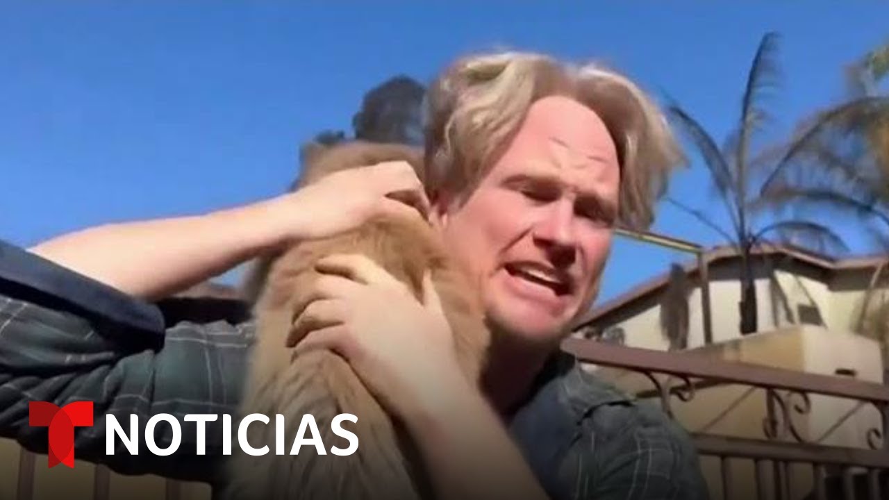 Un hombre encuentra a su perro que se había perdido en medio de los incendios | Noticias Telemundo